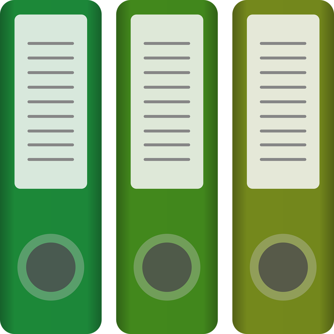 Database